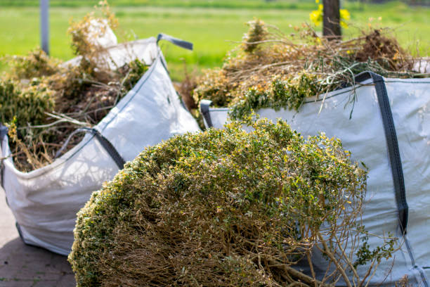 Best Commercial Cleanout Services  in Willcox, AZ