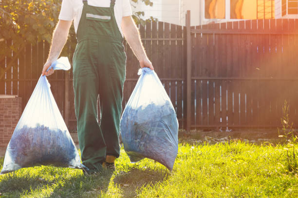 Yard Cleanup Services in Willcox, AZ