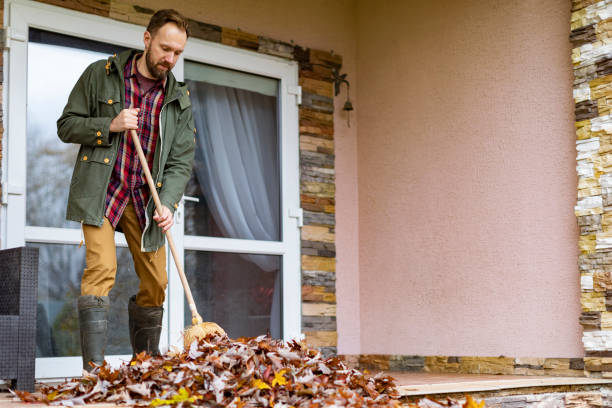 Best Estate Cleanout Services  in Willcox, AZ