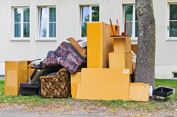 Best Office Junk Removal  in Willcox, AZ