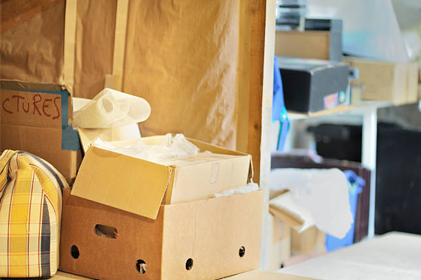 Best Trash Removal Near Me  in Willcox, AZ